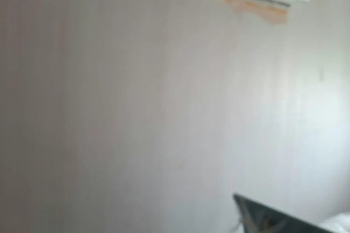HDB rental apartment with freshly repainted interior walls