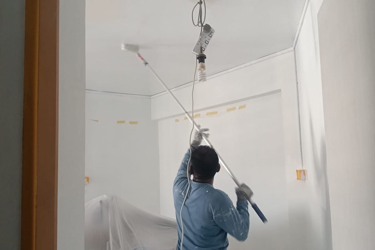 recent project (3)
